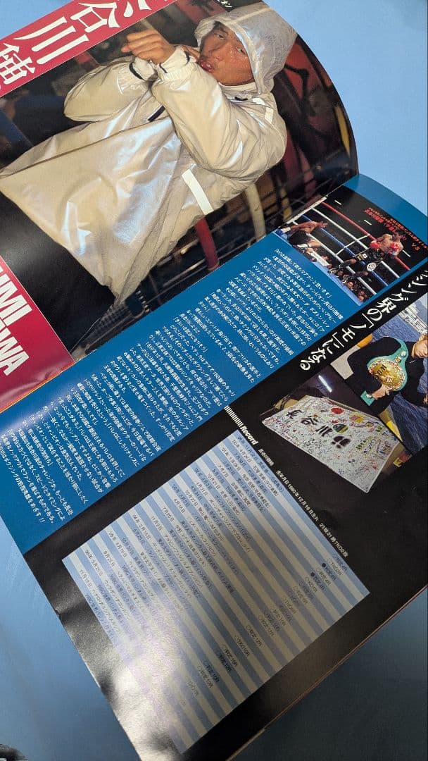 ボクシング パンフレット 長谷川穂積バレロ名城 Boxing Program