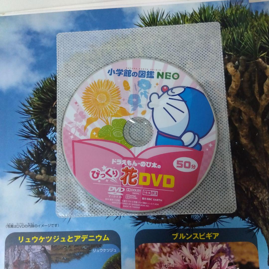 ウー様用【14冊】小学館の図鑑NEO　宇宙　魚　星と星座　地球　植物　人間