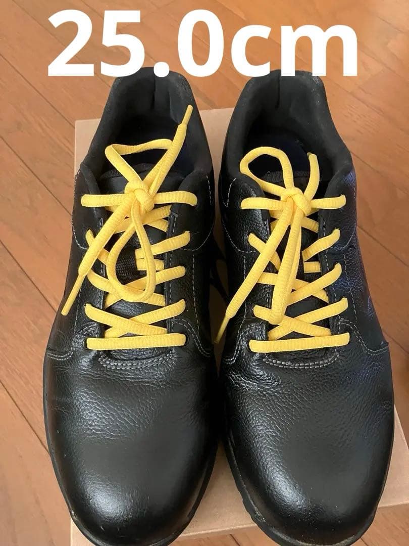 ミズノ　静電安全靴　PRIME FIT AG11L 25.0cm EEE