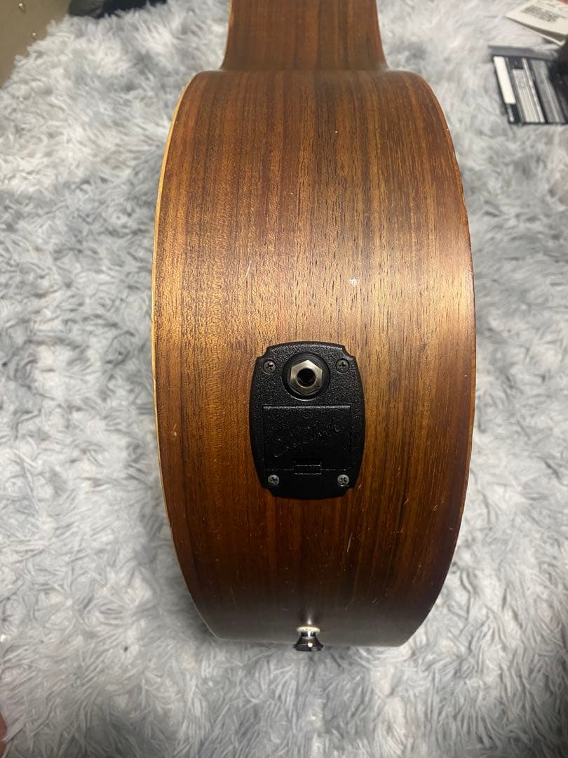 Cole Clark Fat Lady FL1 EC BB ハードケース付き