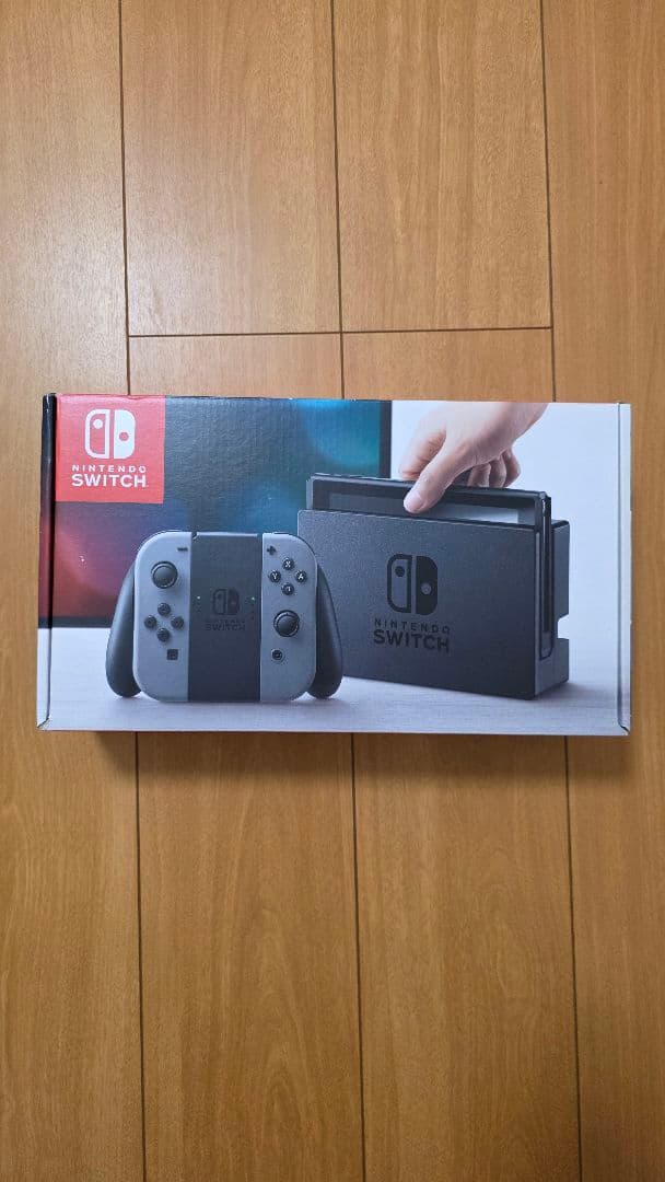 Nintendo Switch 本体 グレー （おまけ…プロコン付き）