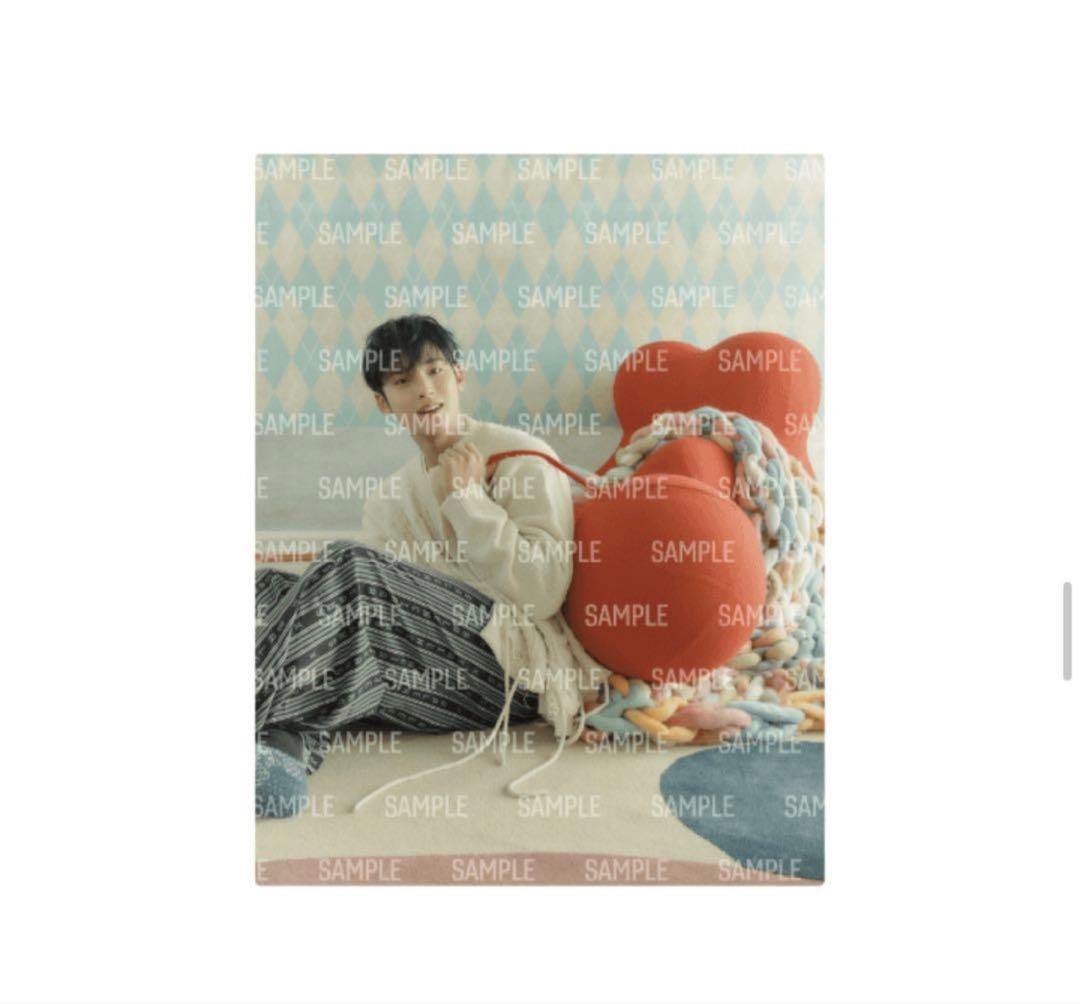 SEVENTEEN ミンギュ　あいのちから　フォトキャンバス　未開封