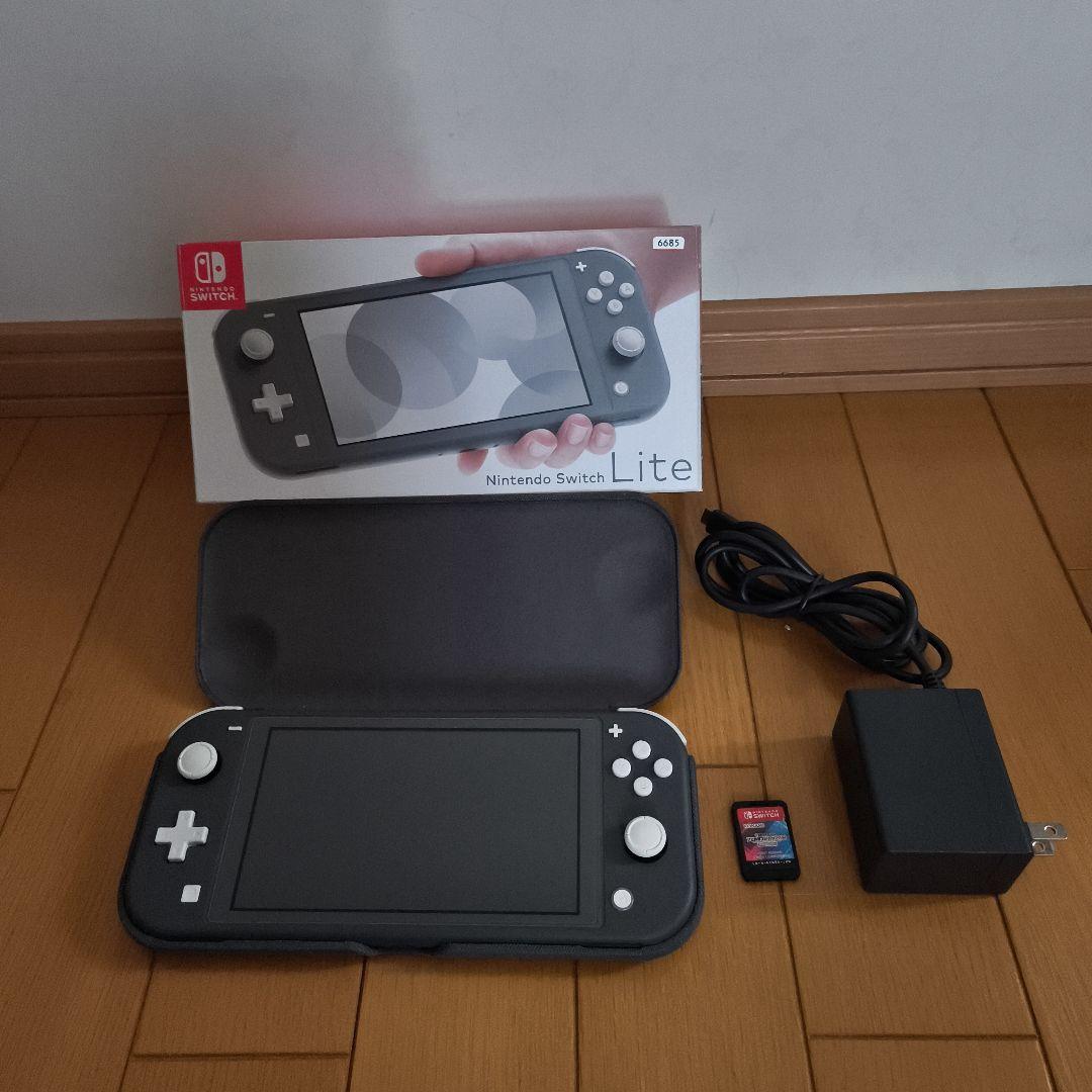 Nintendo Switch Lite 箱 充電器 ソフト ケース付き