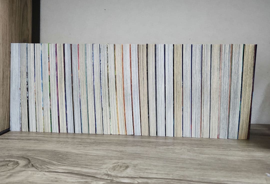 ヴィンランド・サガ 完結 全巻セット 29冊 幸村誠