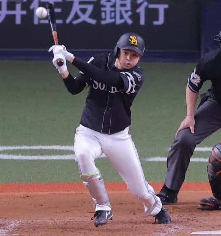 【プレミア】川瀬晃 ZETT ゼット 硬式木製バット 85cm 857g