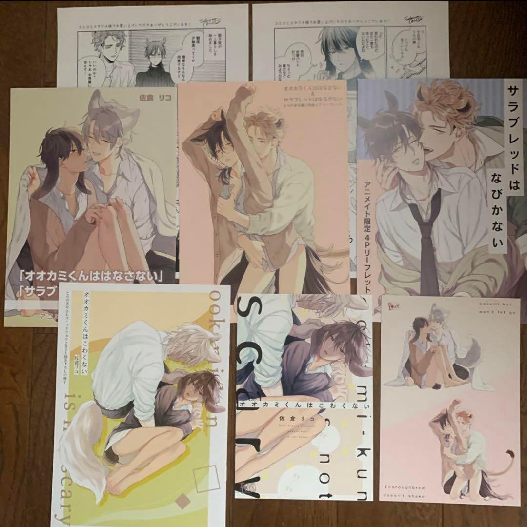 佐倉リコ先生 ●オオカミくんはこわくない　他