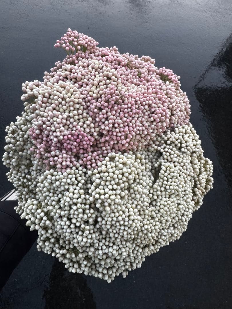 hoccri*様 リクエスト 4点 まとめ商品