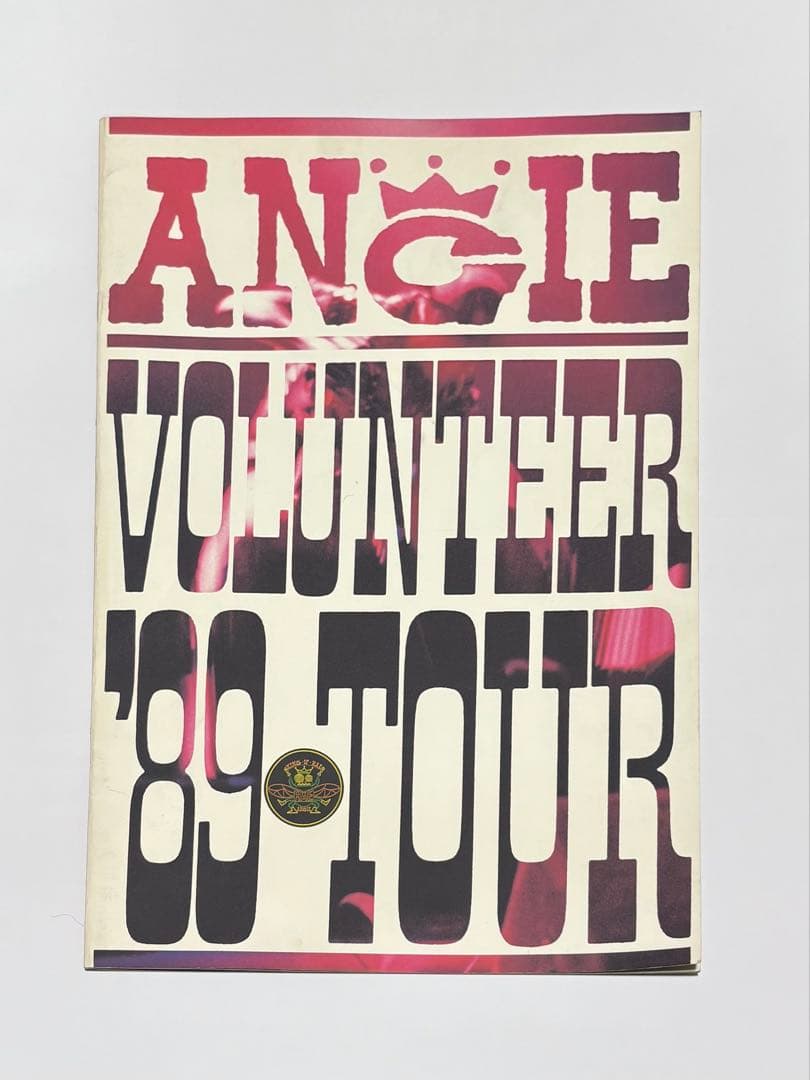 アート・デザイン・音楽 ANGIE VOLUNTEER '89 TOUR