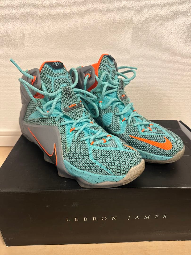LEBRON XII レブロン12　NIKE バッシュ　ナイキ