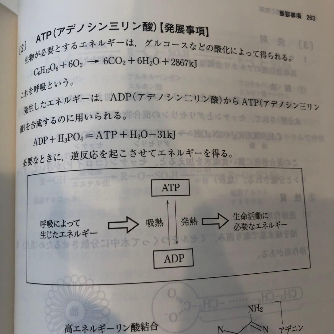 標準化学　通年セット