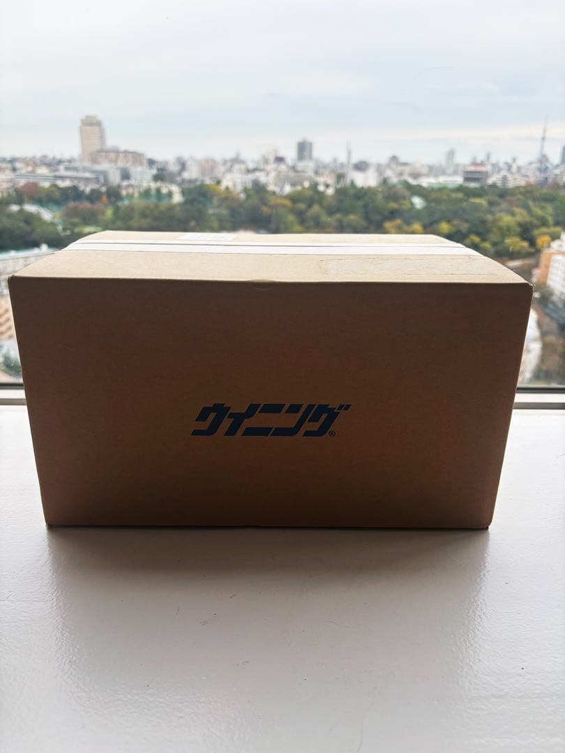 Winning ボクシンググローブ 14 oz 赤/金