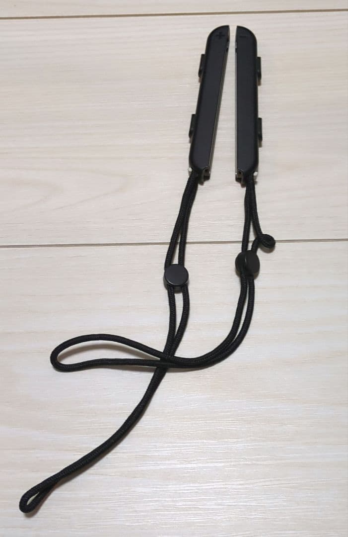 Nintendo Switch 本体 + 付属品 + キャリングポーチ付き