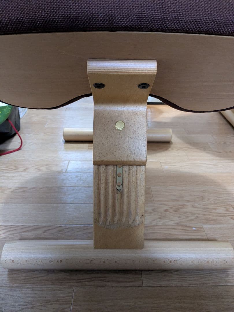 ★ほしちゃんさま専用★サカモトハウス バランスイージー 2台