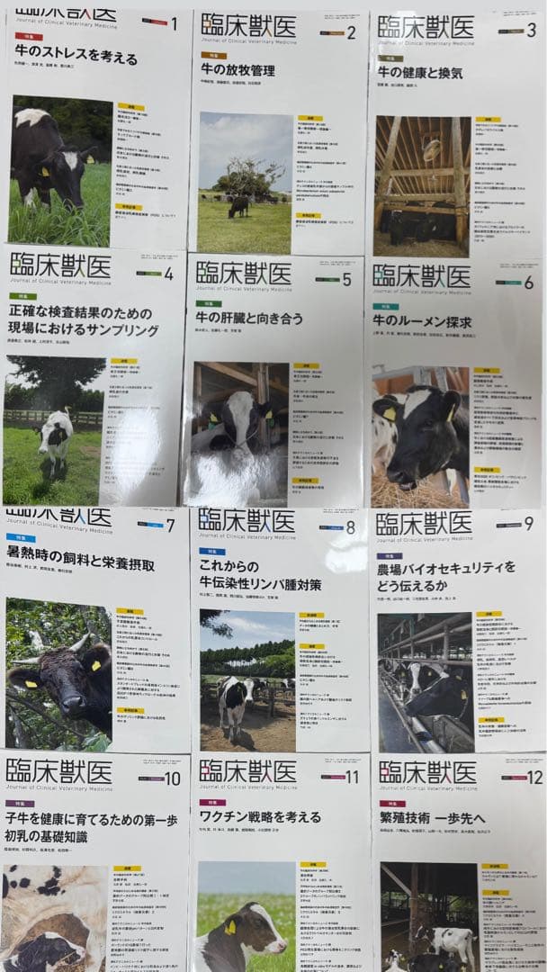 臨床獣医 2022年1月〜12月号12冊