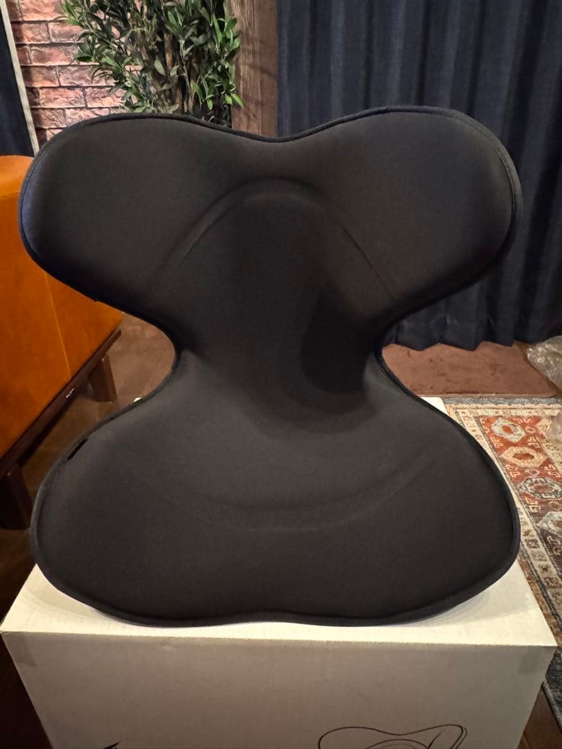 MTG StyleSMART 座椅子 スタイルスマート