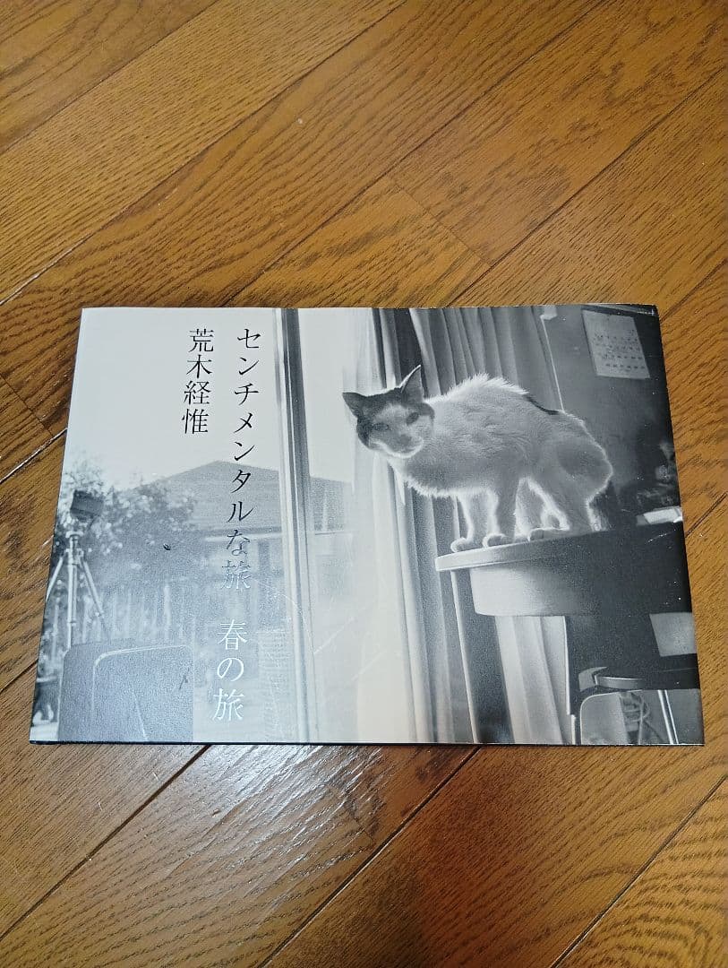 センチメンタルな旅　春の旅　荒木経惟　アラーキー　２０１０　限定写真集