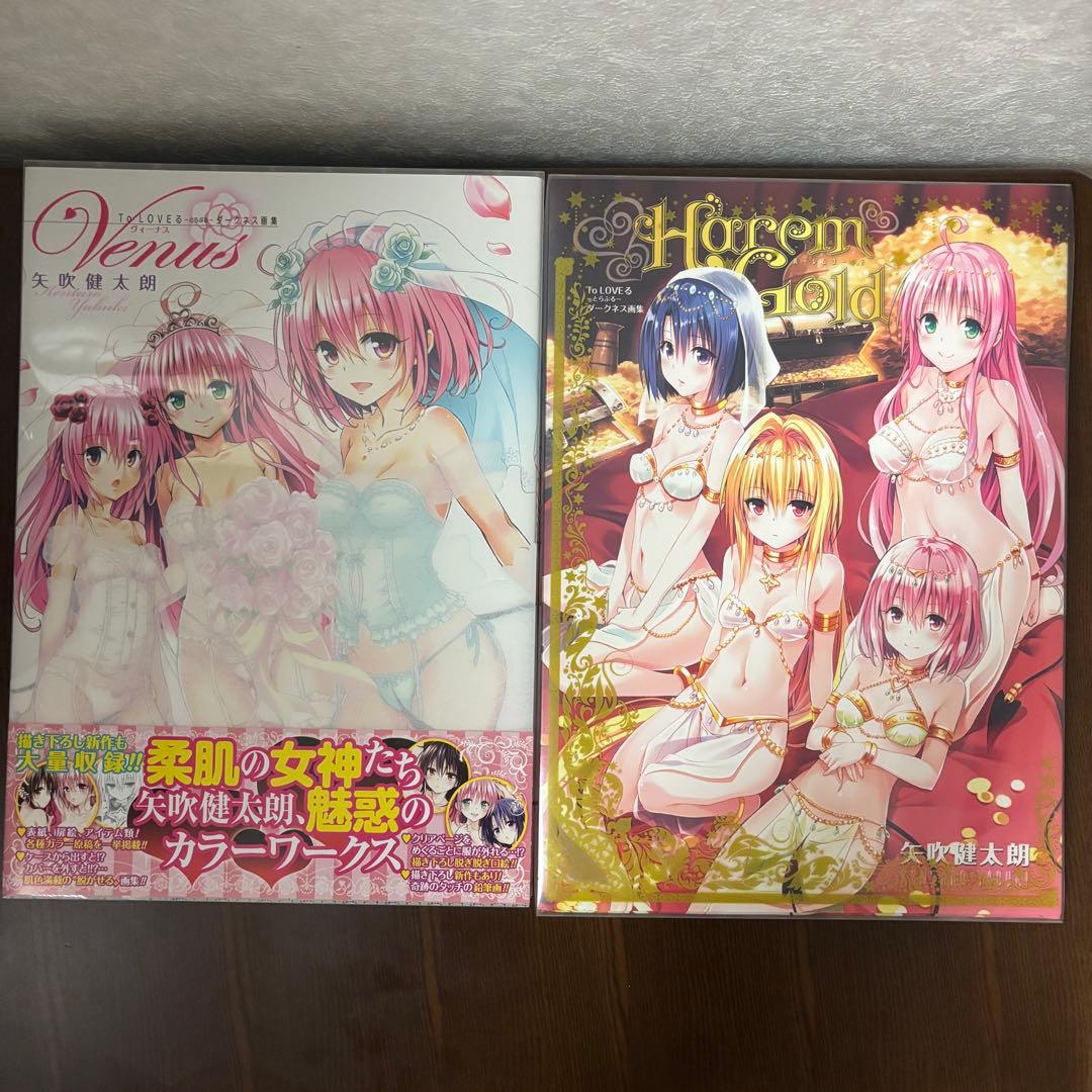 ToLOVEるダークネス画集HarlemGold Venus 初回特典付き