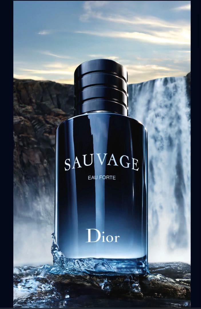 Dior ソヴァージュ パルファン100mL