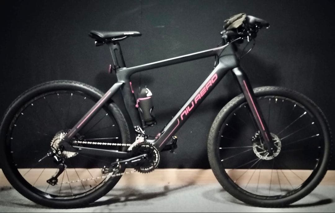 フルカーボン クロスバイク