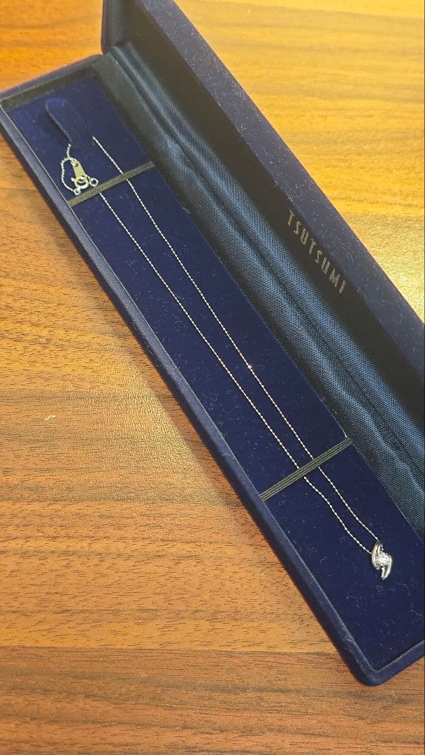 中央宝石研究所 鑑定書付 天然ダイヤネックレス 0.186ct F Pt900