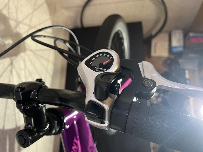 giant LIVパープル 20インチ キッズバイク 6速 Shimano