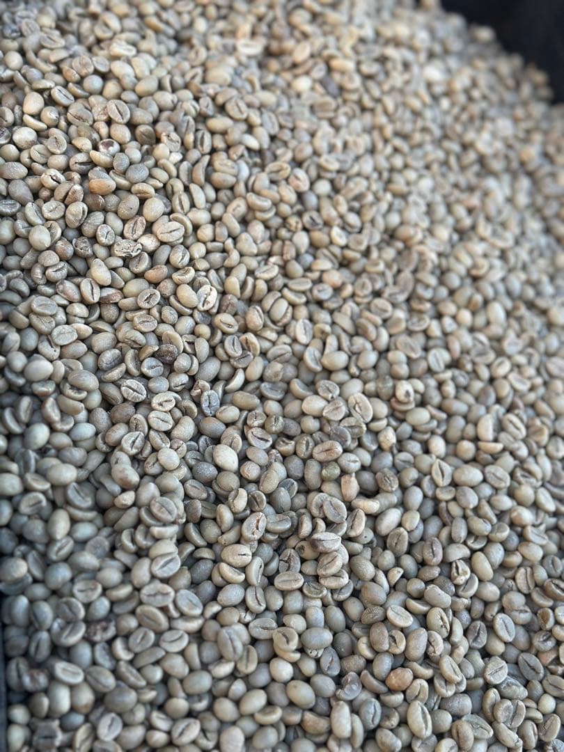 爆安‼︎コーヒー生豆/おまかせ3種7kg