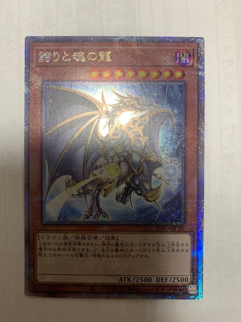 誇りと魂の龍　25THSE 日版