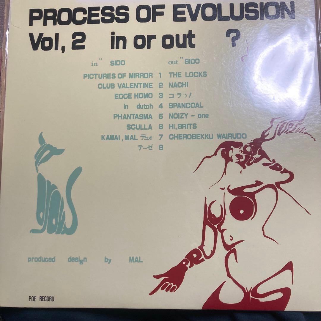 process of evolution vol2 1988 プロモオンリー