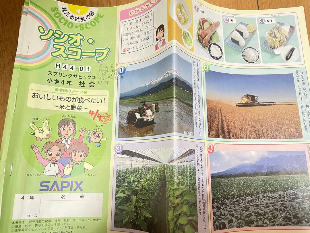 SAPIX小学4年社会