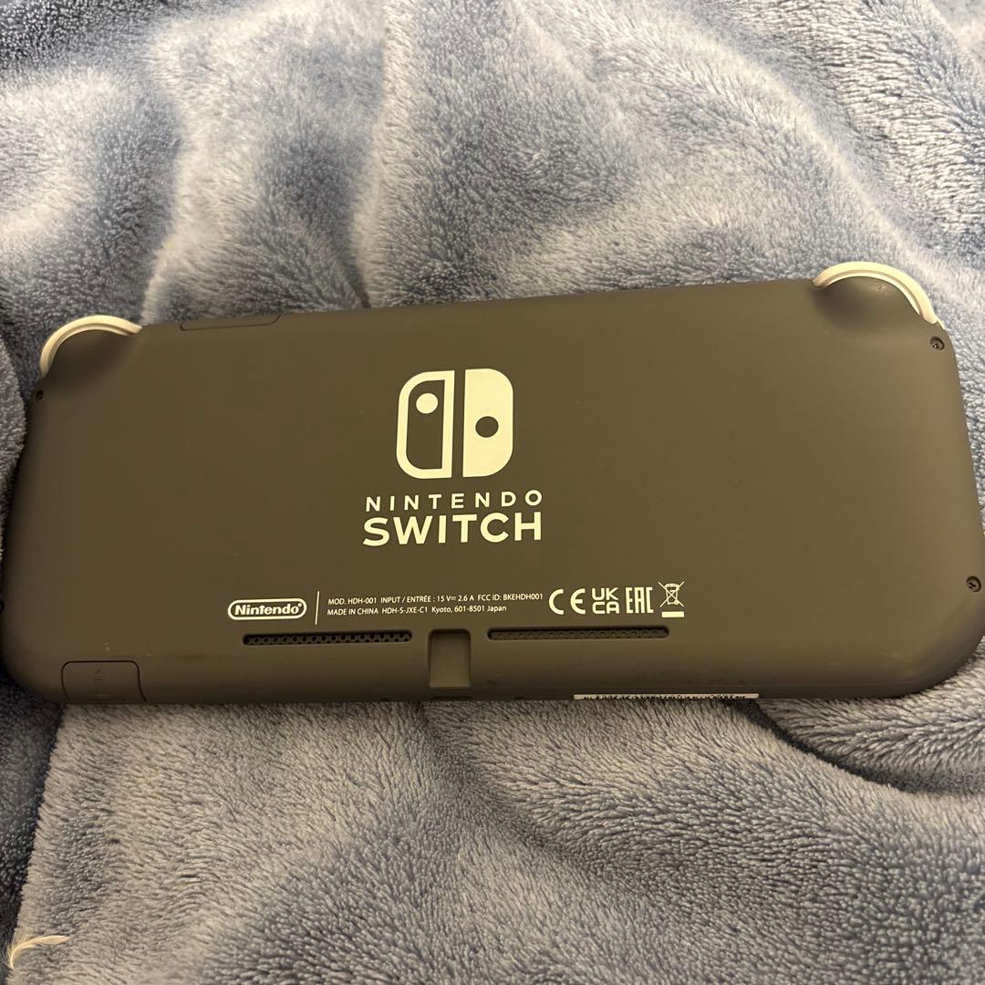 Nintendo Switch Lite グレー 本体 + 純正ケース　異常なし