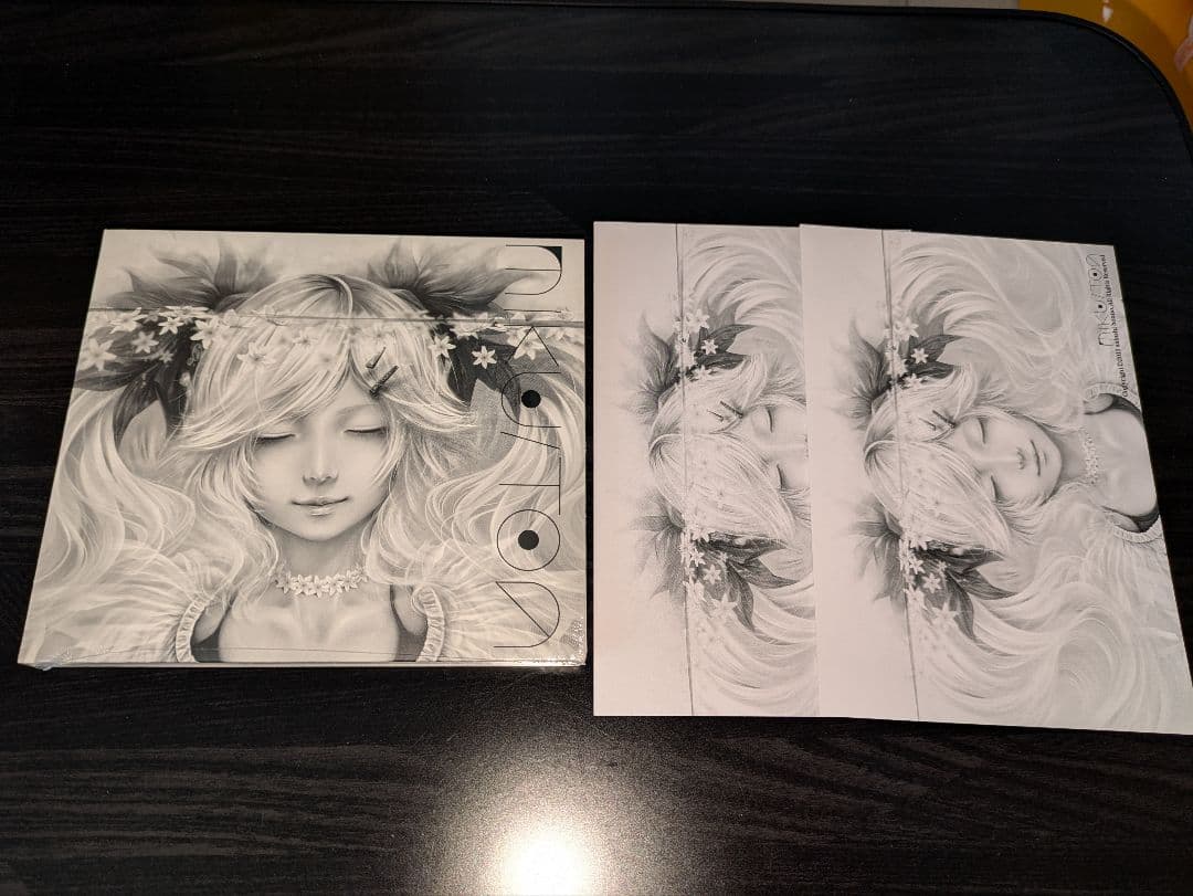 MIKU / TOA 新品 ポストカード2枚付