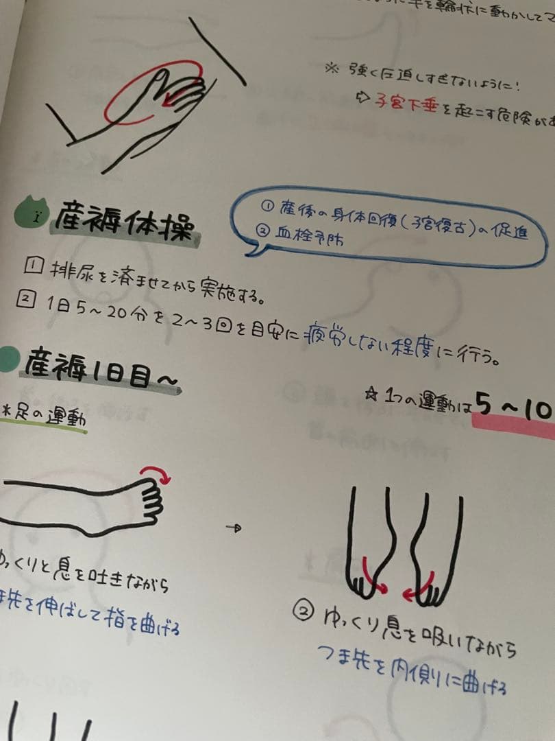 ひろちゃんページ　産科勉強セット