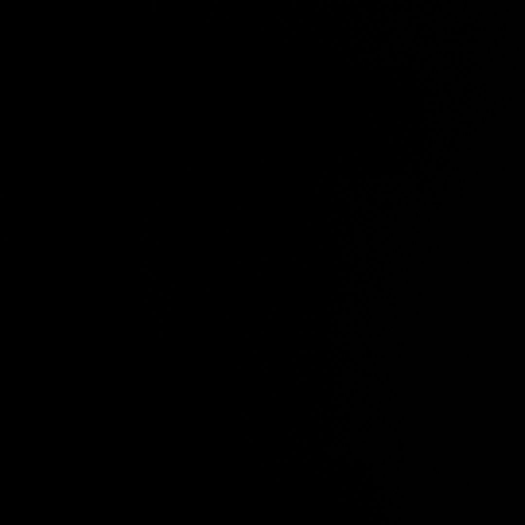 【12/12ずんずんた】