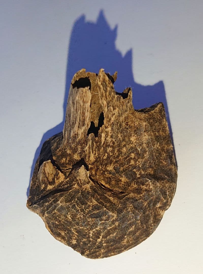 香木 沈香 伽羅 聞香◎ベトナム フエ産 涅槃