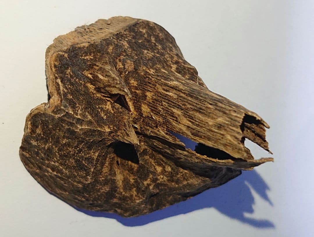 香木 沈香 伽羅 聞香◎ベトナム フエ産 涅槃