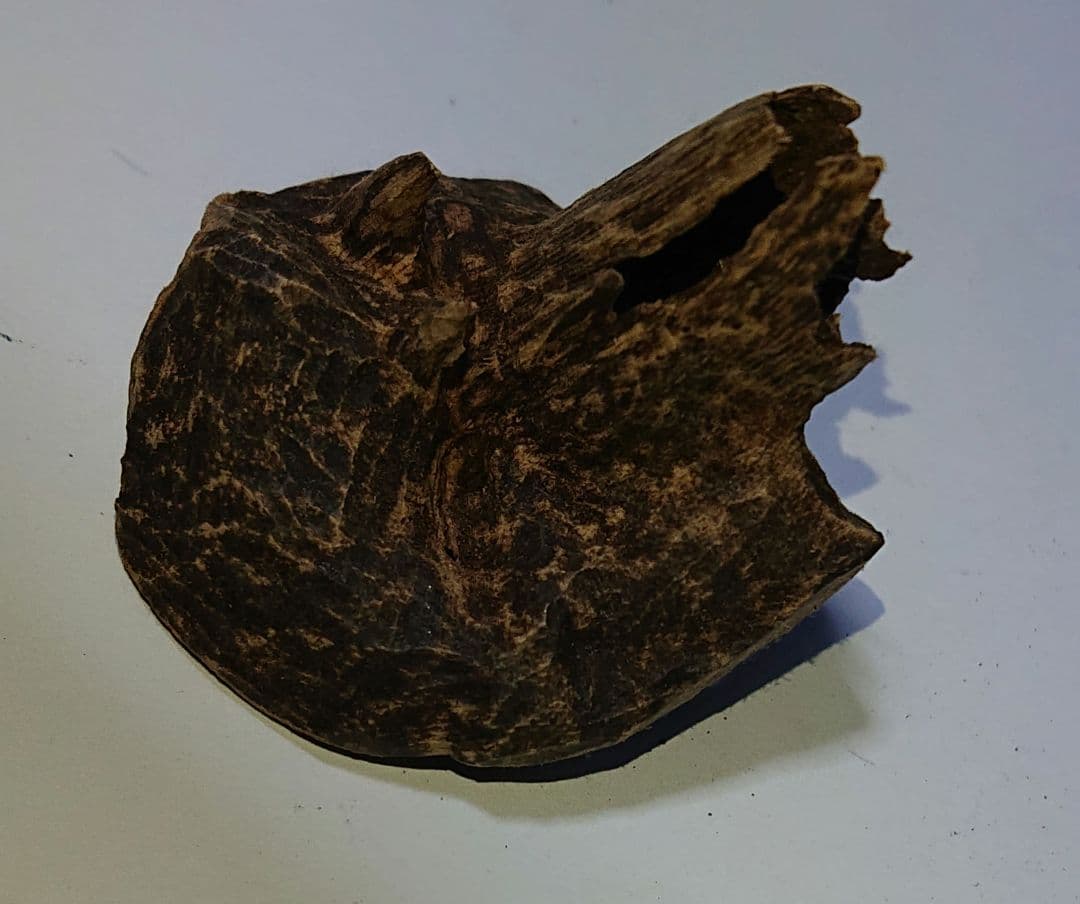 香木 沈香 伽羅 聞香◎ベトナム フエ産 涅槃