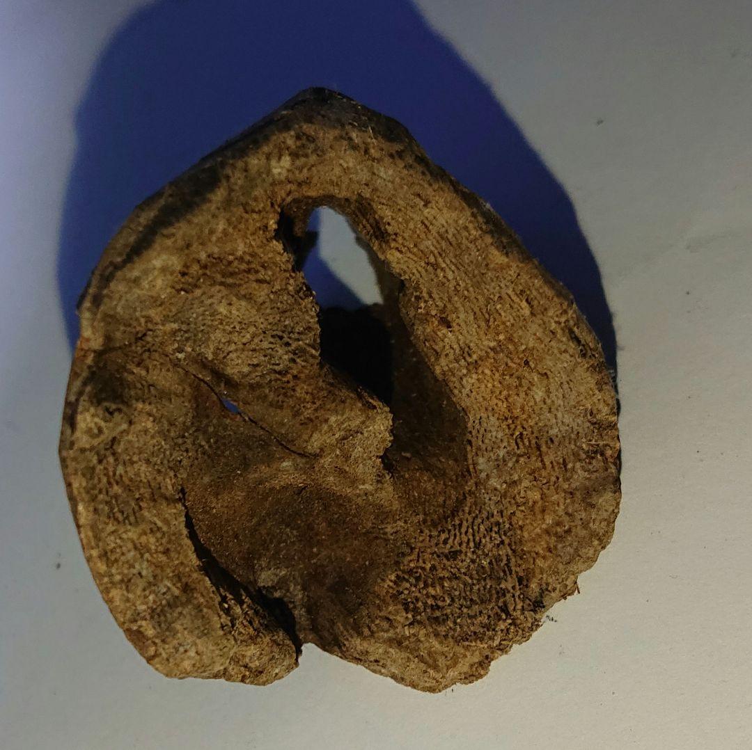 香木 沈香 伽羅 聞香◎ベトナム フエ産 涅槃