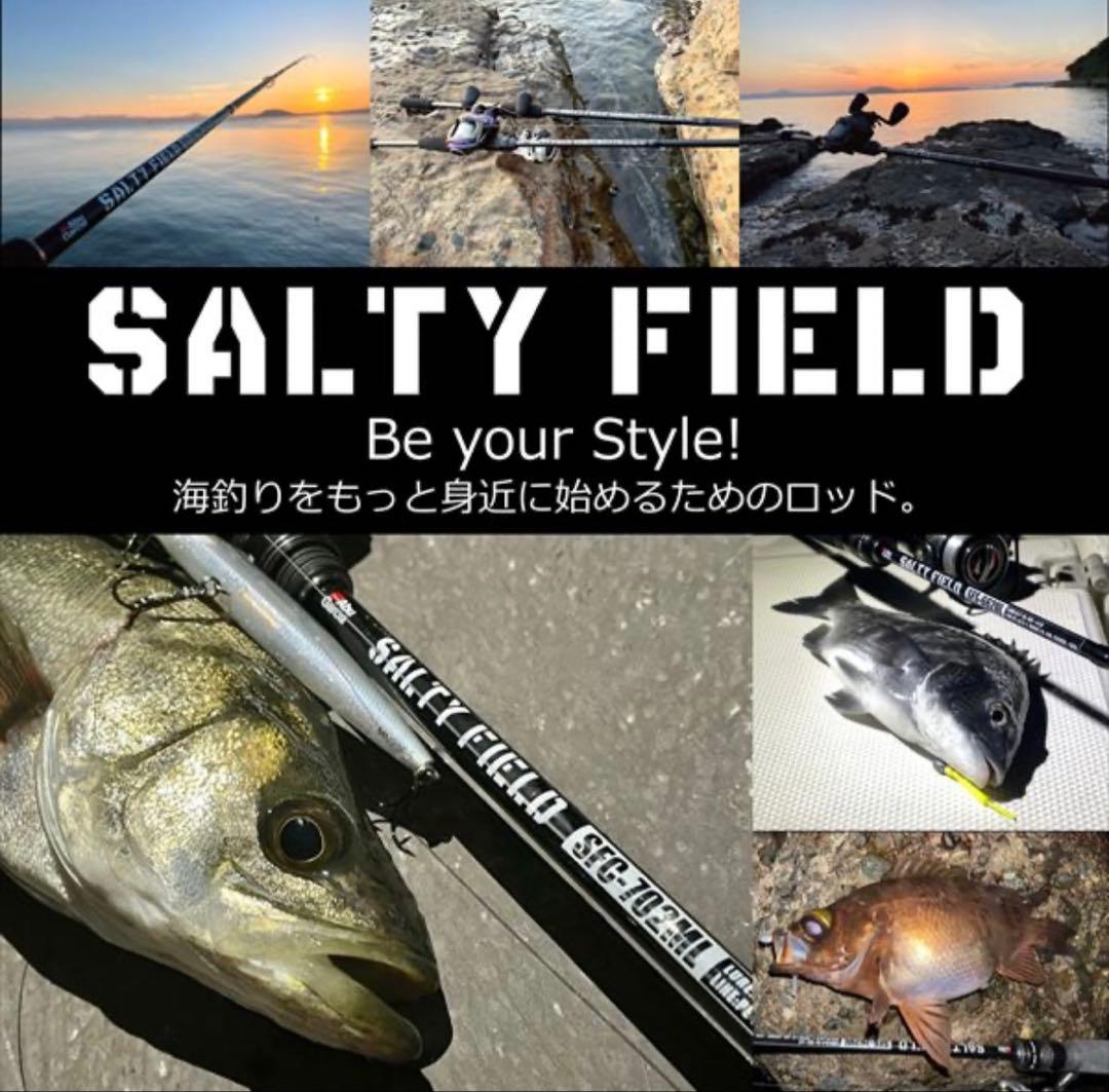 アブガルシア　ソルティーフィールド　SFS-762L 美品