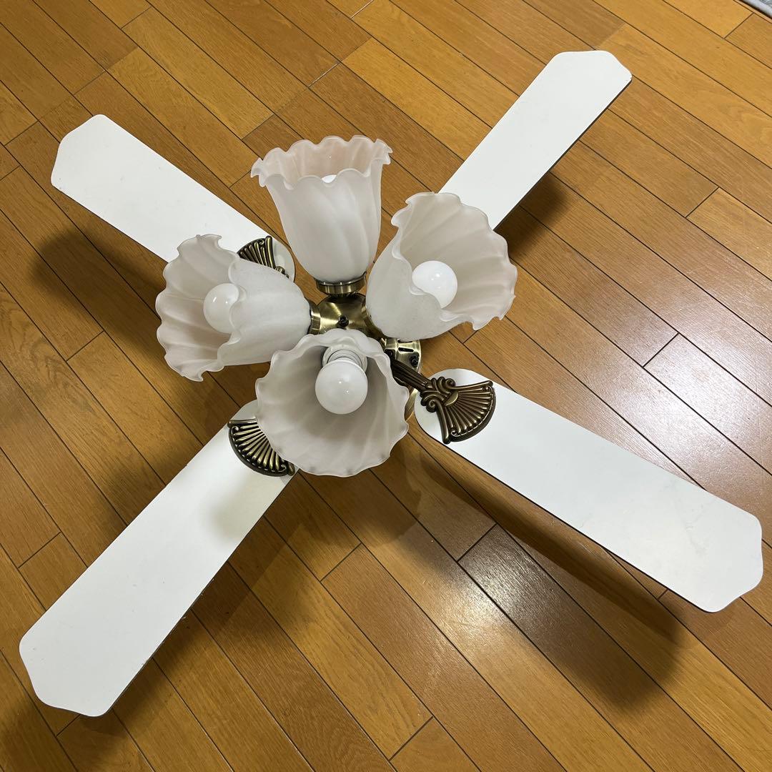 シーリングファンライト