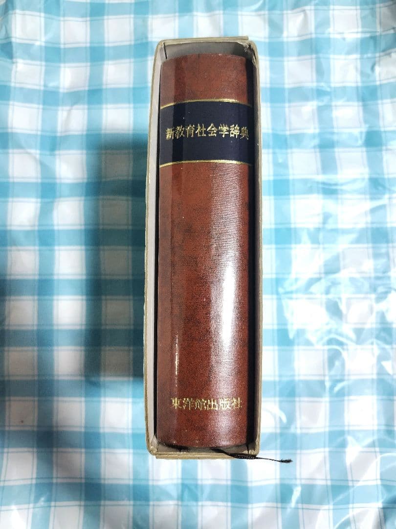 新教育社会学辞典