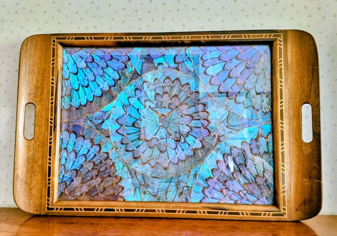 【希少レア 美品】蝶 トレー 美術品 アンティーク 昭和
