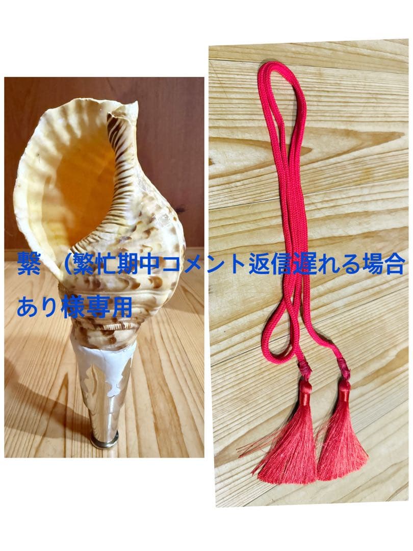 繋　(繁忙期中コメント返信遅れる場合あり コンパクト法螺貝　赤紐極小セット