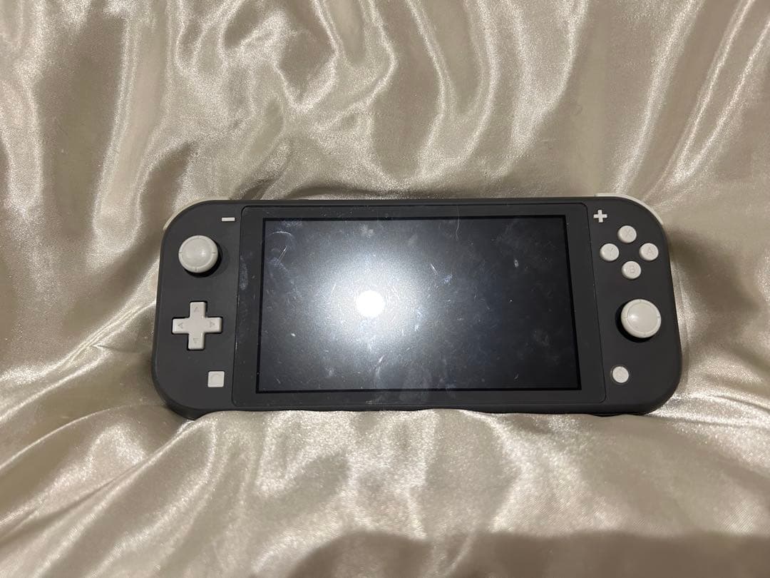 Nintendo Switch Lite 本体 ケース付き