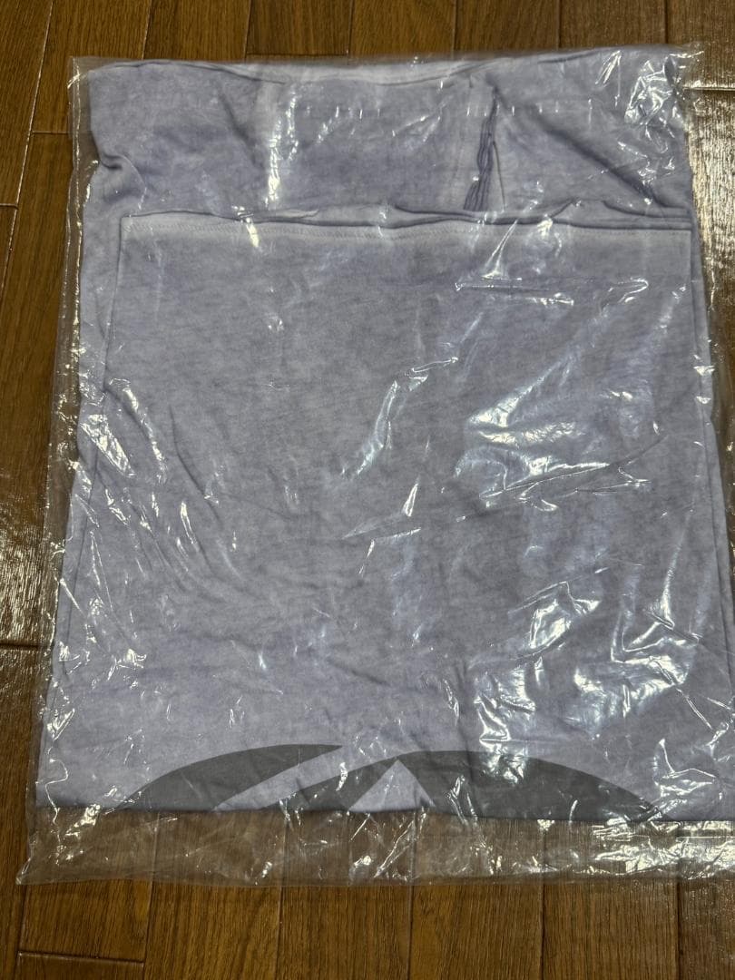 Salsation サルセーションウェア　lightblue V-Tshirt