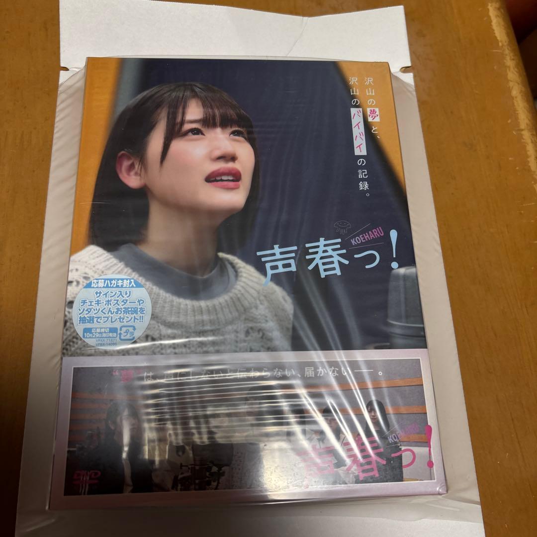 声春っ! DVD-BOX〈6枚組〉 キャンペーン当選品 当選通知付き 日向坂46