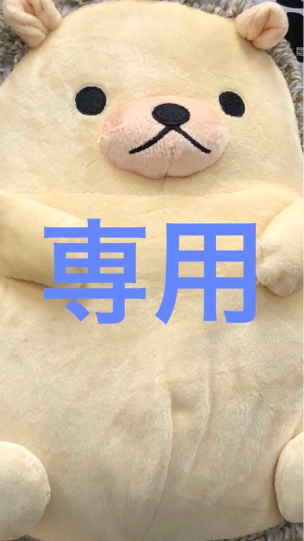 専用 Nintendo Switch Lite グレー + 保護ケース