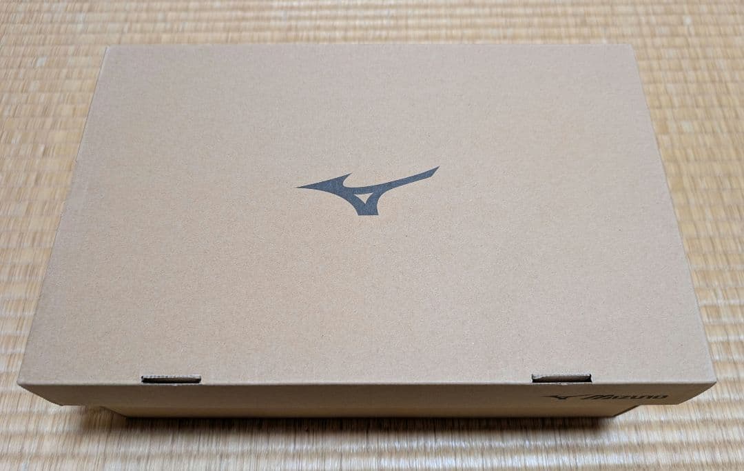 ミズノ　安全靴　25.0EEE