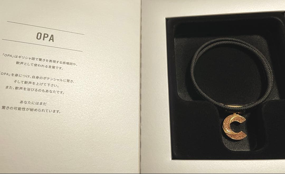 未使用品　パワードギア