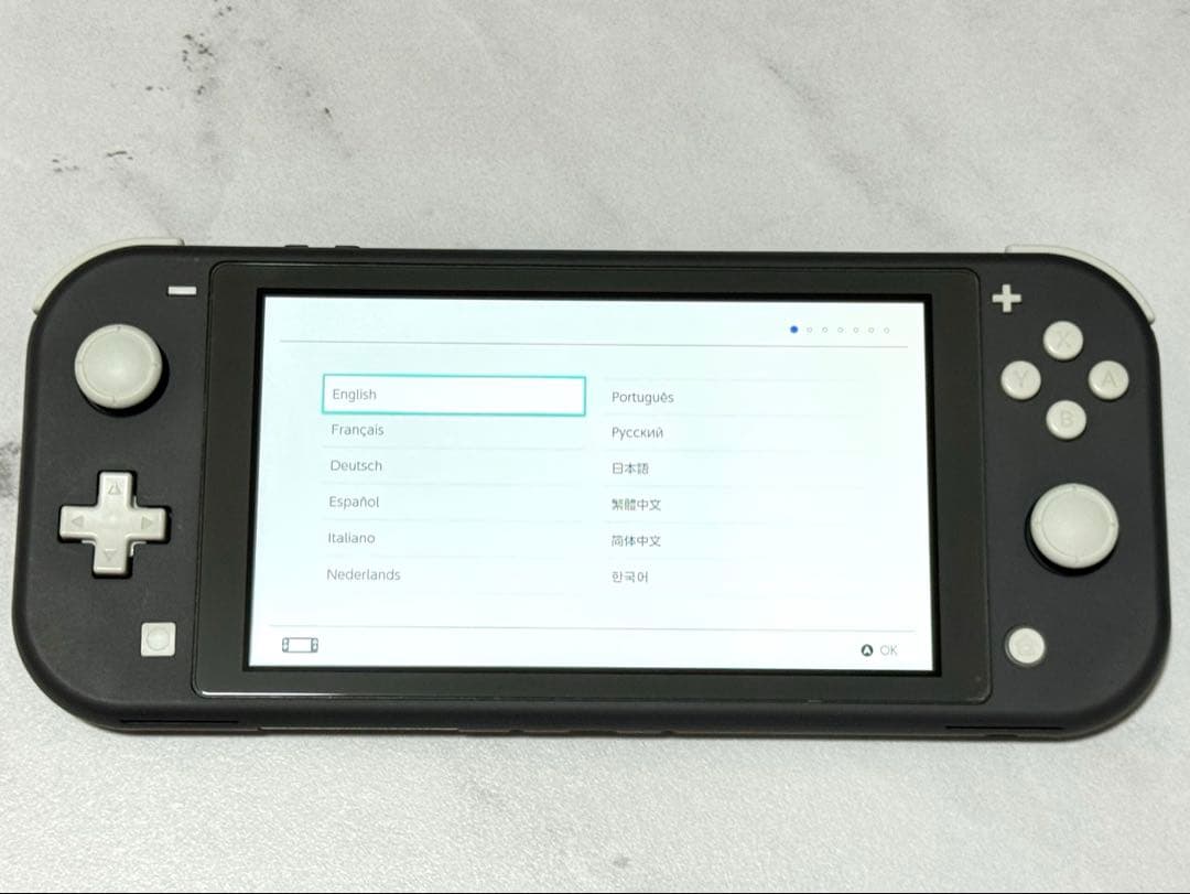 【美品】Nintendo Switch Lite グレー 本体動作品