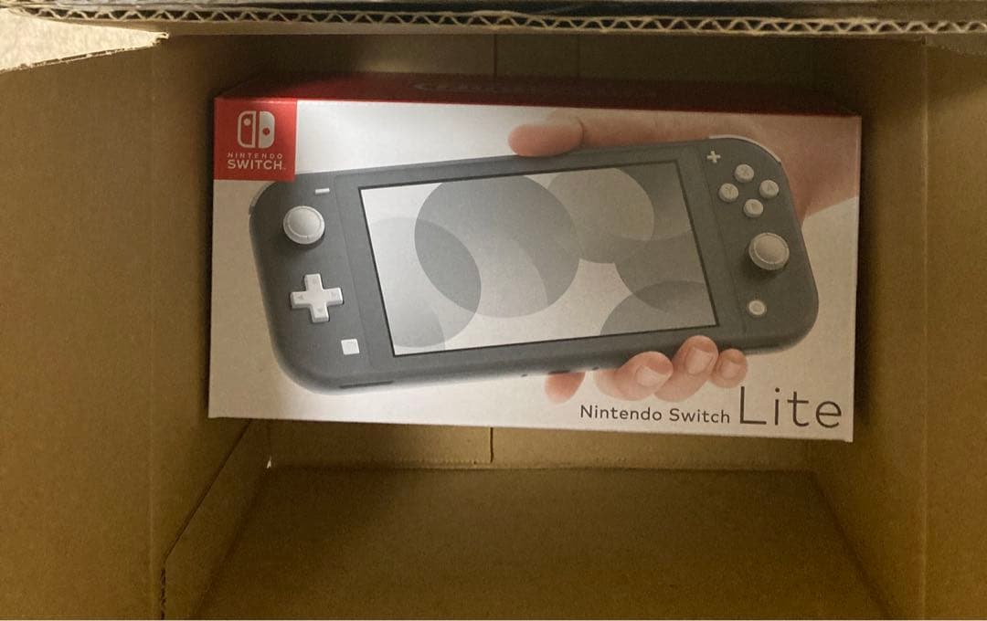 Nintendo Switch Lite 本体　グレー